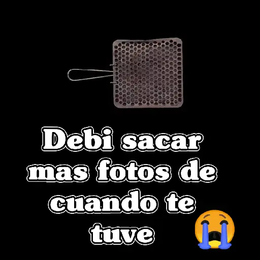 🧿Memes Tostador Chileno🇨🇱 preview