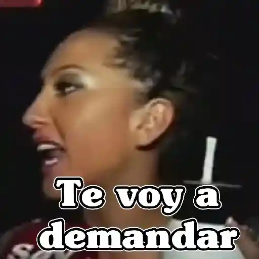 🧿Memes Tostador Chileno🇨🇱 preview