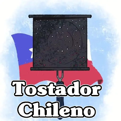🧿Memes Tostador Chileno🇨🇱 preview