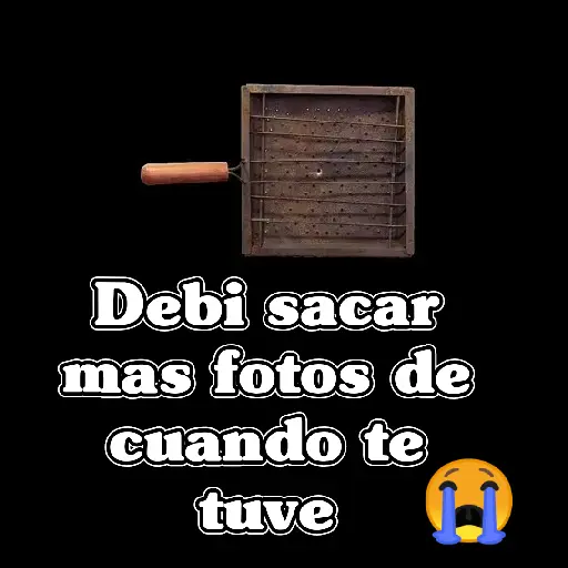🧿Memes Tostador Chileno🇨🇱