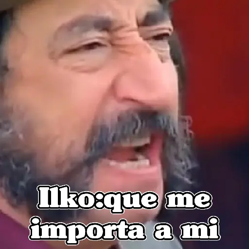 🧿Memes Tostador Chileno🇨🇱 preview