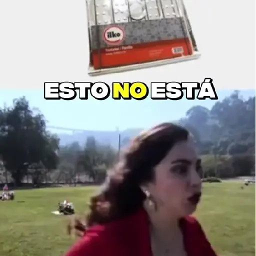 🧿Memes Tostador Chileno🇨🇱