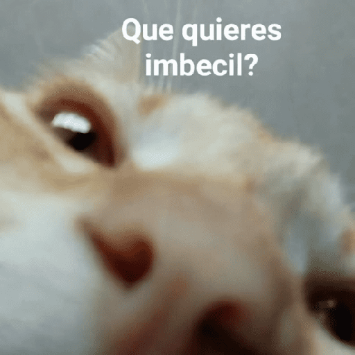 Más Reacciones #➊➍ 🍧 preview