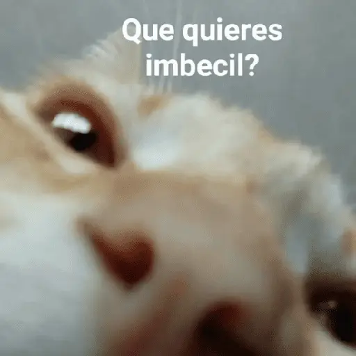 Más Reacciones #➊➍ 🍧