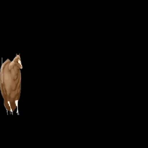 fat horse