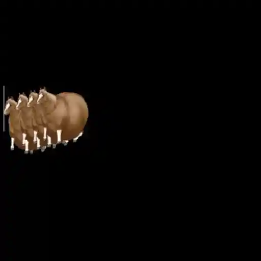 fat horse preview