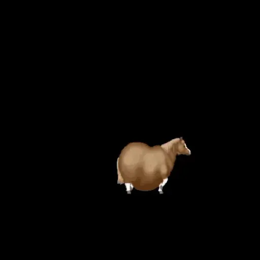 fat horse