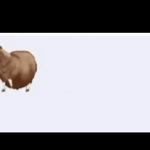 fat horse