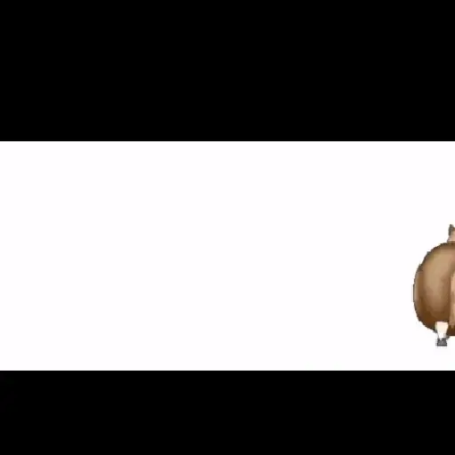 fat horse