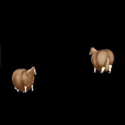 fat horse