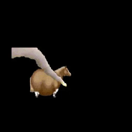 fat horse