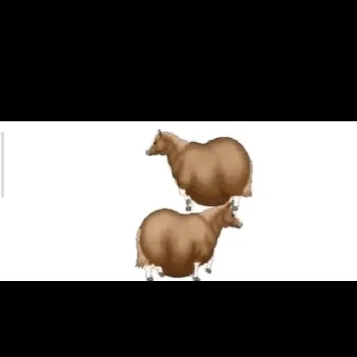 fat horse