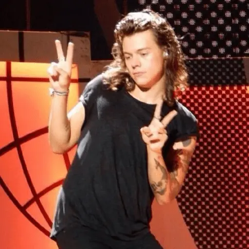 Harry Styles 🥝