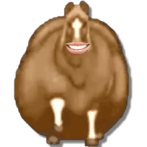 🐴🔥Fat Horse #2️⃣/TikTok🐴🔥