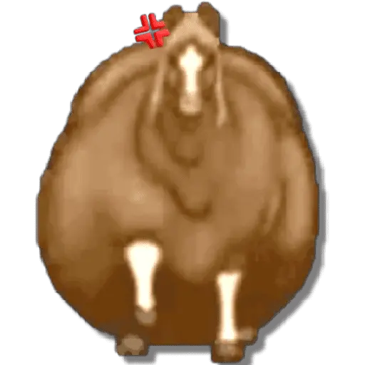 🐴🔥Fat Horse #2️⃣/TikTok🐴🔥