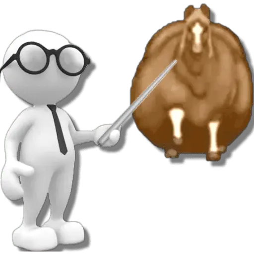 🐴🔥Fat Horse #2️⃣/TikTok🐴🔥