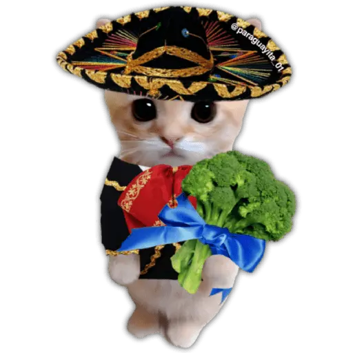 ♥️🌹🥰 AMOR 🥰🌹♥️