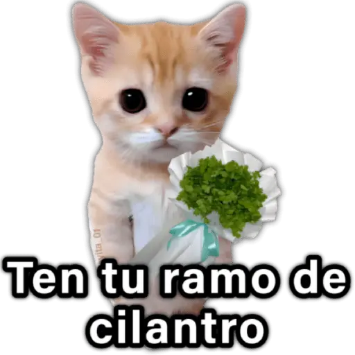 ♥️🌹🥰 AMOR 🥰🌹♥️