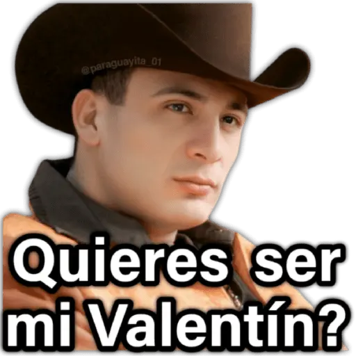 ♥️🌹🥰 AMOR 🥰🌹♥️