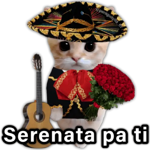 ♥️🌹🥰 AMOR 🥰🌹♥️
