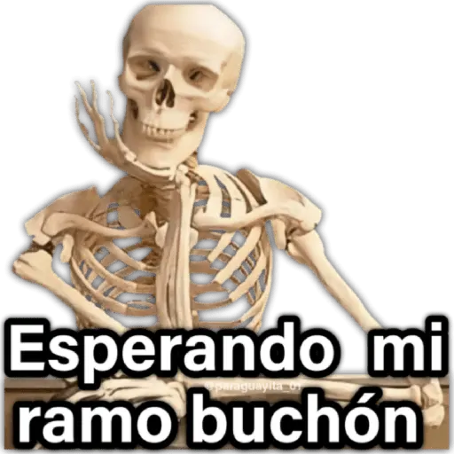 ♥️🌹🥰 AMOR 🥰🌹♥️