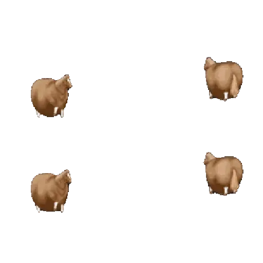 FAT HORSE SPINNING 🐎 preview