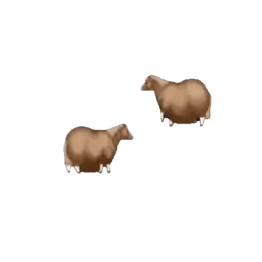 FAT HORSE SPINNING 🐎