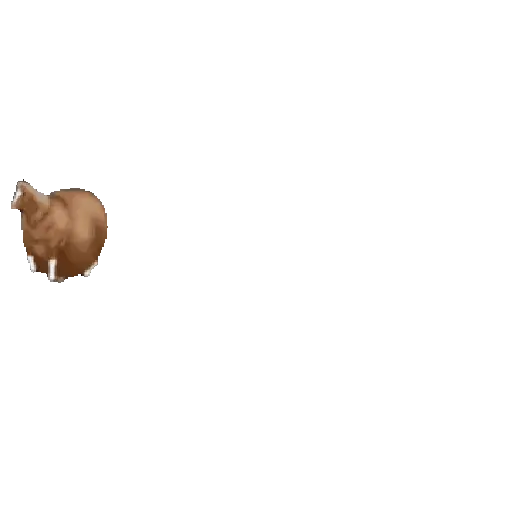 FAT HORSE SPINNING 🐎