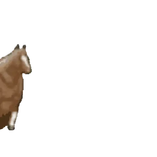 FAT HORSE SPINNING 🐎