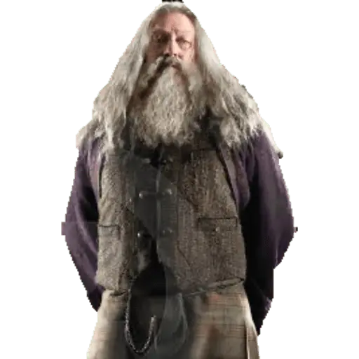 Harry