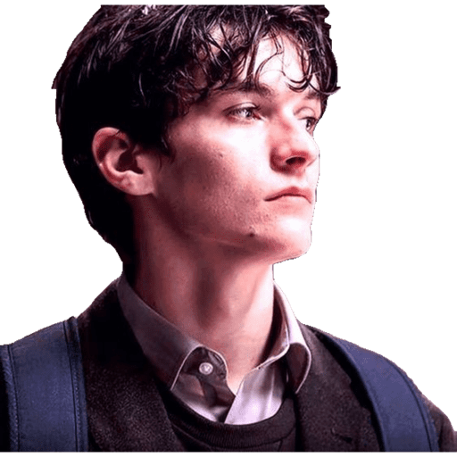 Harry preview