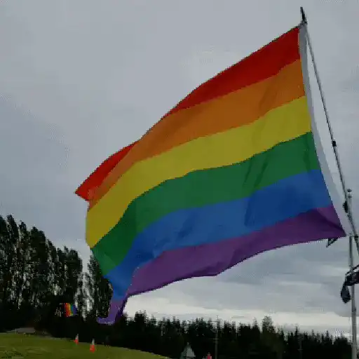 LGBTQ+🏳️‍🌈 🌈✨ Reacciones