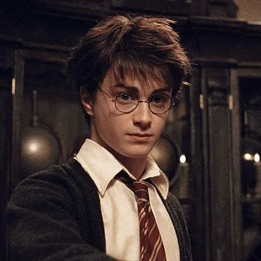 Harry Potter ⚡