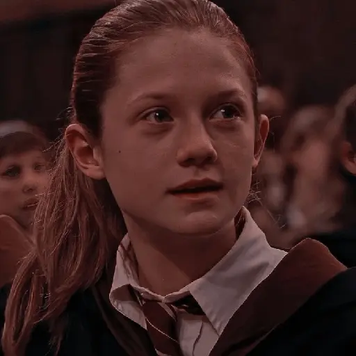 Harry Potter ⚡