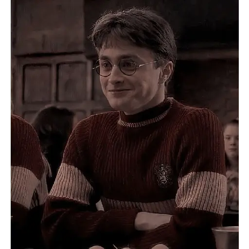Harry Potter ⚡