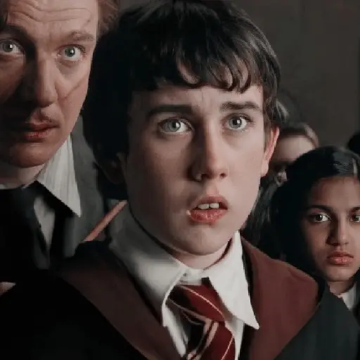 Harry Potter ⚡