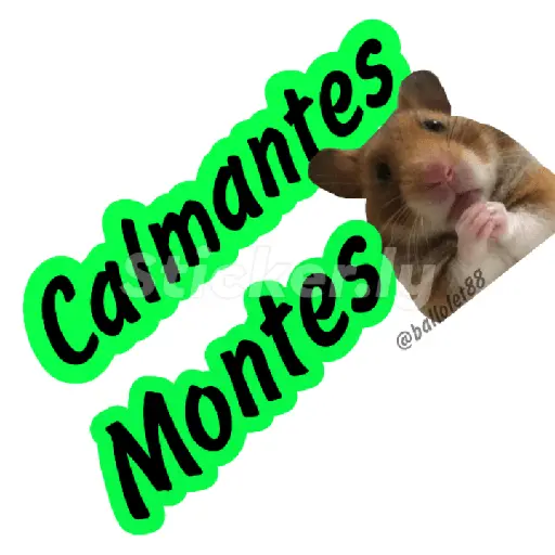 memes mexicanos