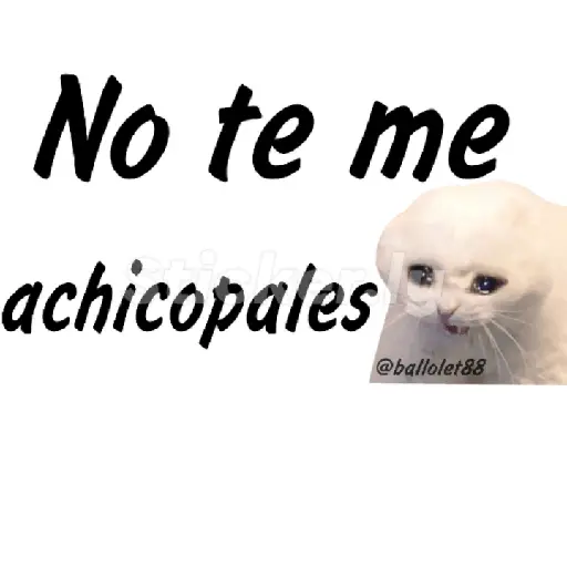 memes mexicanos