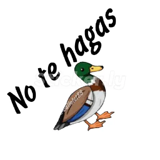 memes mexicanos