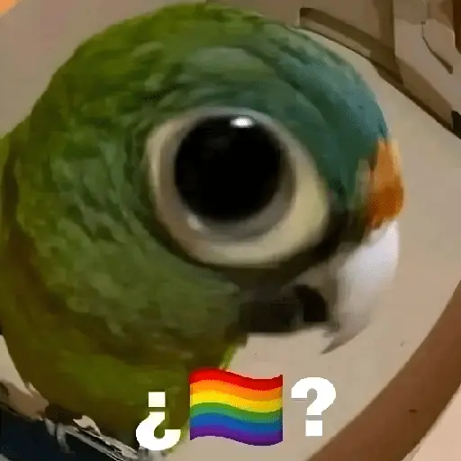 🚫 LGBTQ ❌ Bandera 🤔⁉️