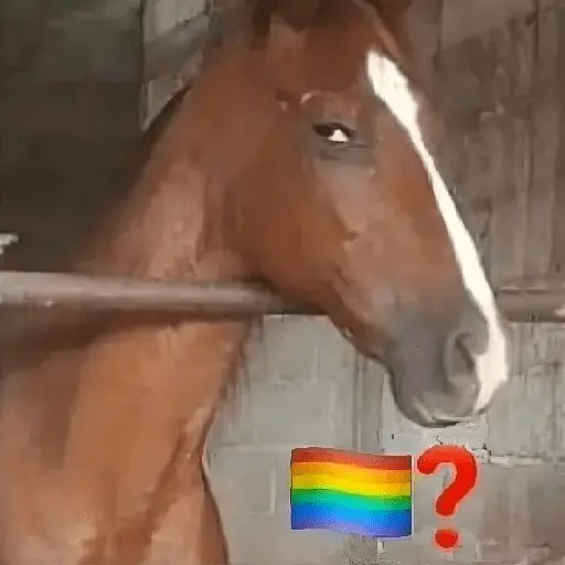 🚫 LGBTQ ❌ Bandera 🤔⁉️