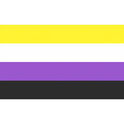 bandeiras lgbtqiapn+