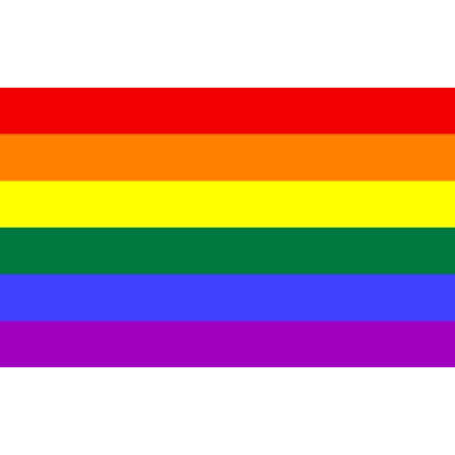 bandeiras lgbtqiapn+ preview
