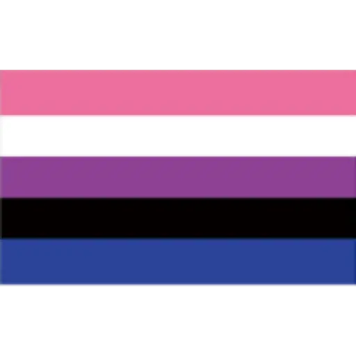 bandeiras lgbtqiapn+