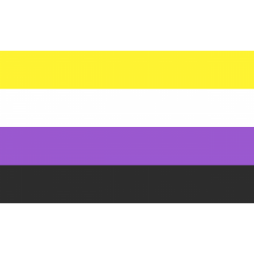 bandeiras lgbtqiapn+ preview