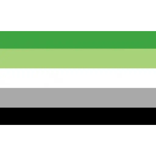 bandeiras lgbtqiapn+
