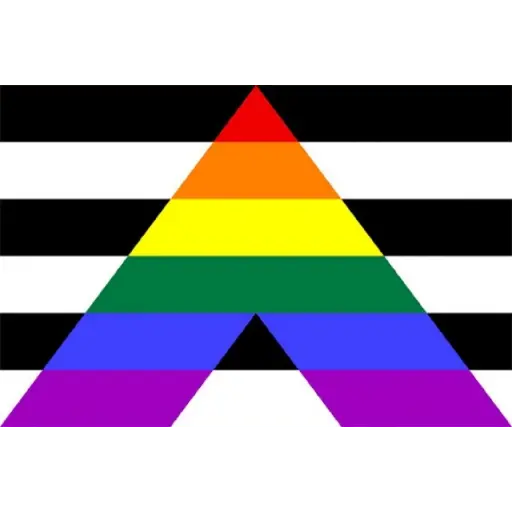 bandeiras lgbtqiapn+