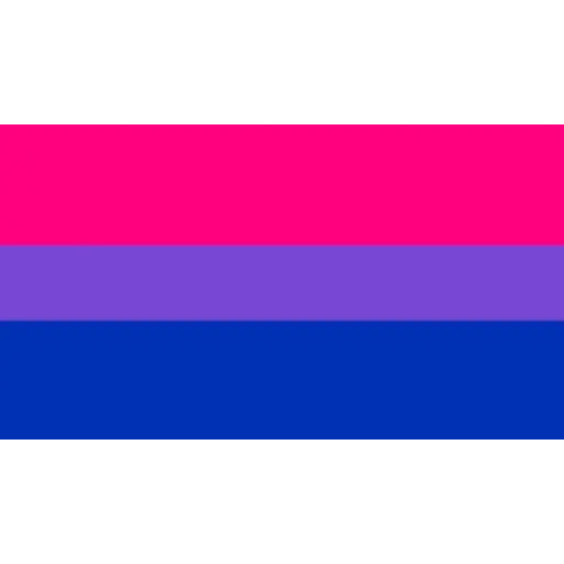bandeiras lgbtqiapn+