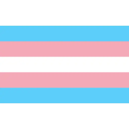 bandeiras lgbtqiapn+