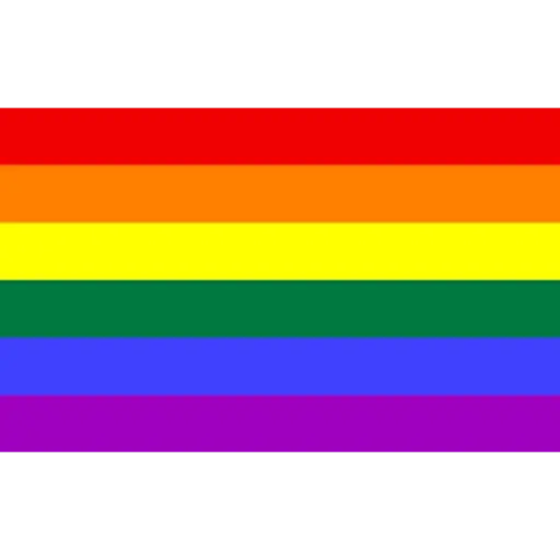 bandeiras lgbtqiapn+